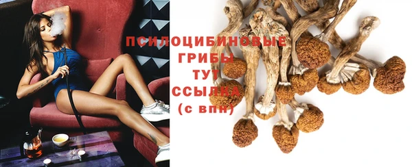 синтетический гашиш Алексеевка